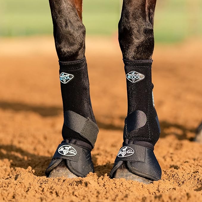 Professional's Choice 2XCOOL Sports Medicine Horse Boots | Protective & Breathable Design for Ultimate Comfort, Durability & Cooling in Active Horses | 2 Pack
