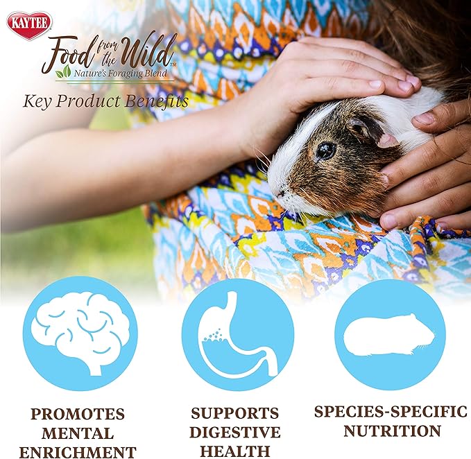 Kaytee Food from The Wild Natural Pet Guinea Pig Food, 4 Pound
