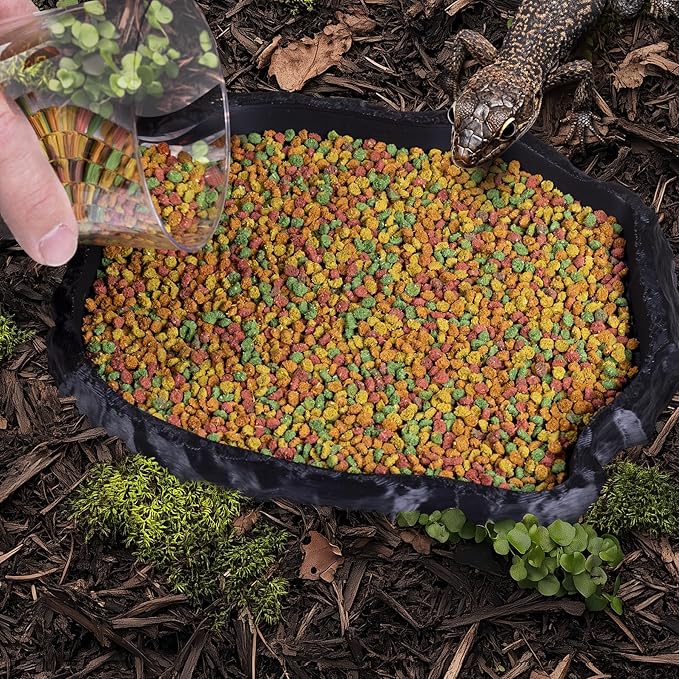 Gecko Cave Reptile Feeding Tray – Naturalistic Pet Dish for Lizards, Snakes, Bearded Dragons, Tortoises & Turtles - Black