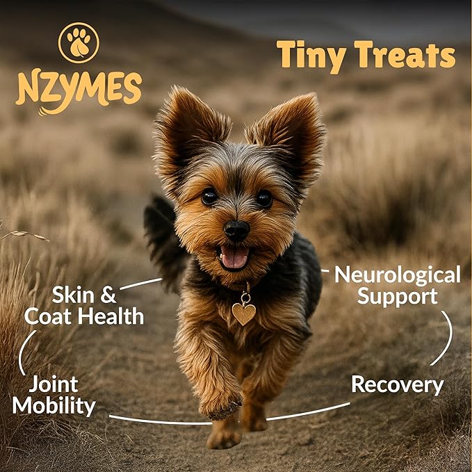 Nzymes® Antioxidant Tiny Treats - for Dogs Joints, HIPS, Paralysis, Skin, Coat, Hair Loss, Aging, Digestion, Seizures - Dog Treats for Small Dogs - 180 Treats - Made in The USA