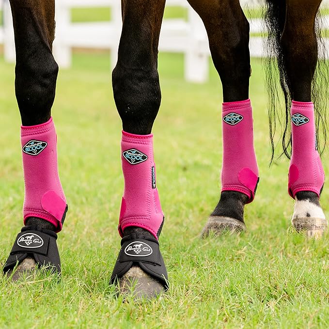 Professional's Choice 2XCOOL Sports Medicine Horse Boots | Protective & Breathable Design for Ultimate Comfort & Durability in Active Horses | Value 4 Pack | Large Raspberry