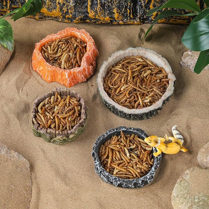 IBWell 2pcs Reptile Water Bowl with Feeding Tweezers - Reptile Food Dish for Lizard, Snake, Tortoise & Small Animals - Wooden Tree Stump