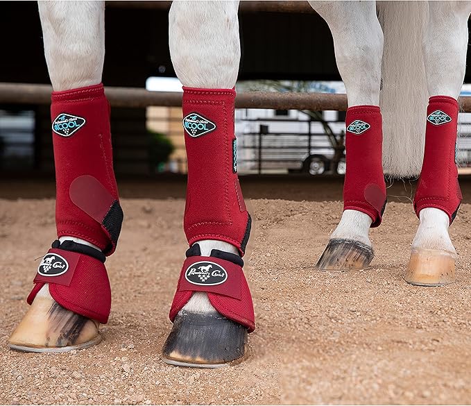 Professional's Choice 2XCOOL Sports Medicine Horse Boots | Protective & Breathable Design for Ultimate Comfort, Durability & Cooling in Active Horses | 2 Pack