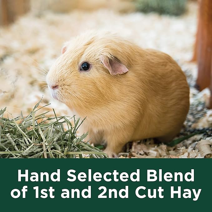 Kaytee All Natural Timothy Hay Plus Cranberries for Guinea Pigs, Rabbits & Other Small Animals, 24 Ounce (Pack of 2)