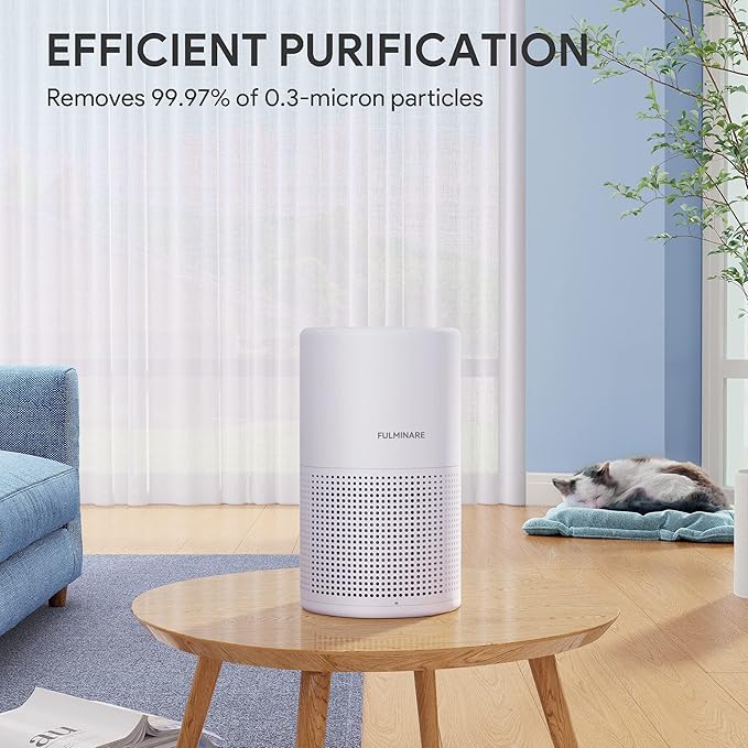 Air Purifiers for Bedroom, FULMINARE H13 True HEPA Air Filter, Quiet Air Cleaner With Night Light, Portable Small Air Purifier for Home, Office, Living Room