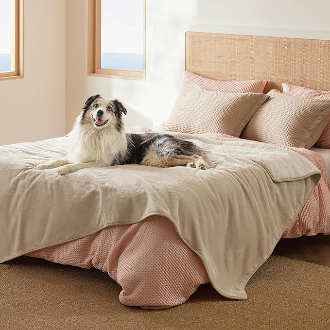 Bedsure Waterproof Blanket for Bed - Sherpa Fleece Waterproof Dog Blankets for Large Dogs, Pet Blankets for Bed/Couch/Dog Crate, Soft Plush Reversible Furniture Protector, Twin-XL, 66"x90", Cream