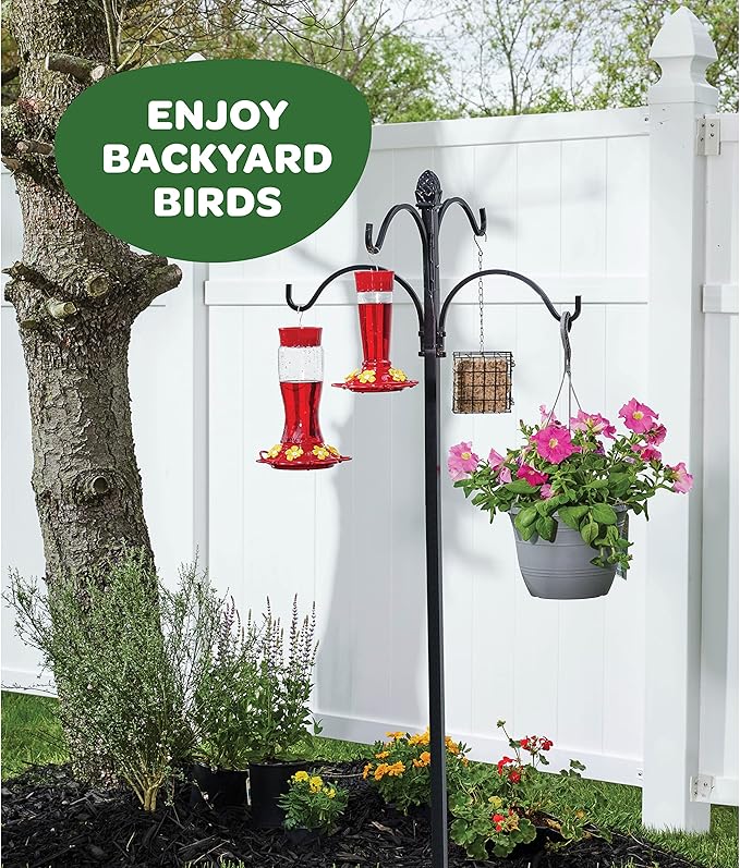 Hummingbird Feeder 10 oz Glass Hummingbird Feeders for Outdoors, with Built-in Ant Guard - Circular Perch with 5 Feeding Ports - Wide Mouth for Easy Filling/2 Part Base for Easy Cleaning