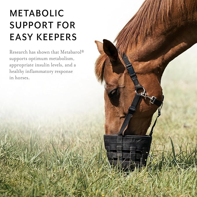 Metabarol Horse Supplement Powder with Resveratrol, Metabolic Support Supplement for Horses, Equine Metabolic Supplement, Equine Care Products, 2 lbs