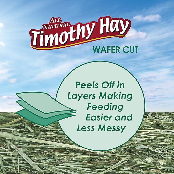 Kaytee Wafer Cut All Natural Timothy Hay for Pet Guinea Pigs, Rabbits & Other Small Animals, 60 Ounce