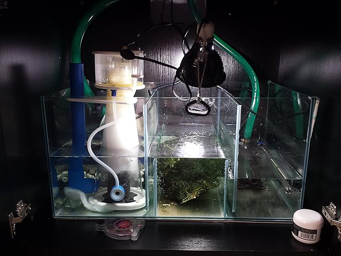SCA 66 Gallon Starfire Rimless Aquariums Pnp System 32x24x20 10mm with Built-in Overflow
