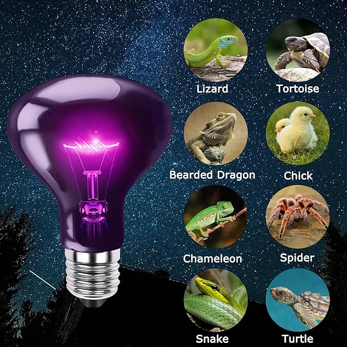 60W Reptile Night Light Bulb - Simulated Moonlight & Purple Heat Lamp for Reptiles and Amphibians - Perfect UVA Basking Light for Bearded Dragons, Lizards and Aquatic Tanks