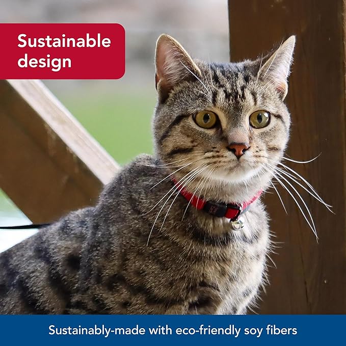 Coastal Pet New Earth Soy Adjustable Breakaway Cat Collar - Eco-Friendly, Odor-Resistant and Adjustable Cat Collar - Olive - 3/8" x 8"-12"