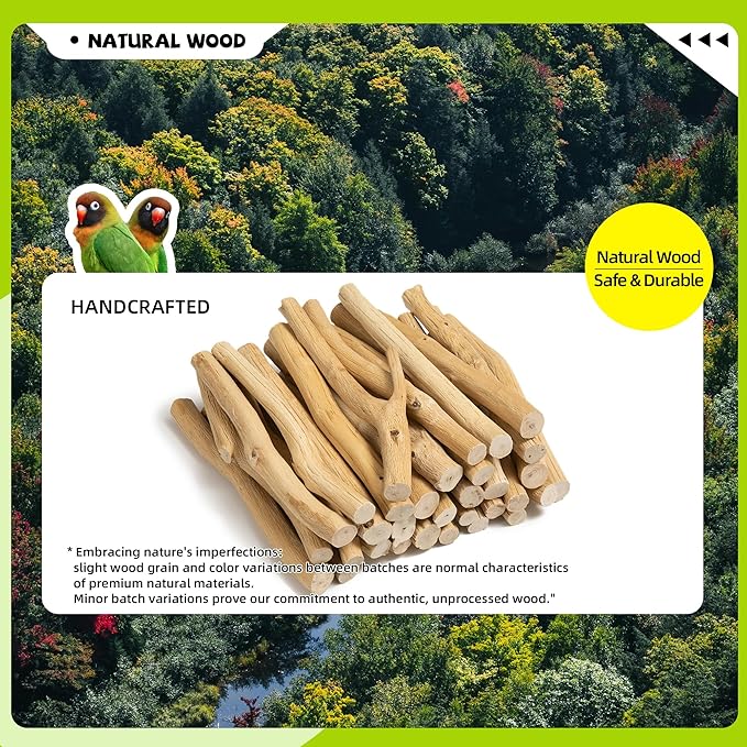 Natural Wood Bird Perch & Play Stand for Parakeets/Cockatiels - Multi-Level Cage Accessory with Training Branch
