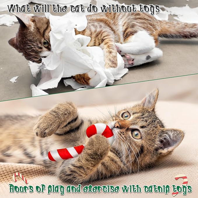 MALLMALL6 6Pcs Christmas Candy Cane Catnip Toys Gift for Indoor Chew Bite Kick Catmint Pet Supplies, Cute Interactive Toy for Cat Lover Xmas Presents (Tricolor)