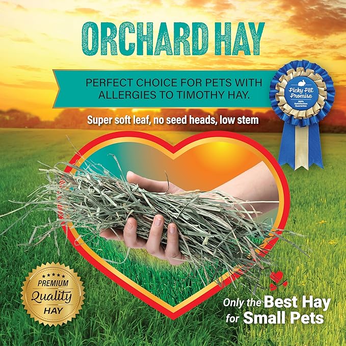Small Pet Select Orchard Hay, Grass for Rabbit, Guinea Pig, Bunny, Chinchilla and Other Small Animals, Premium Natural Hay Grown in The US, Pet Food, 40 lb