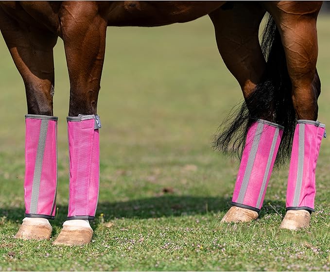 Professional's Choice Deluxe Fly Boots | Breathable Mesh | 4 Pack