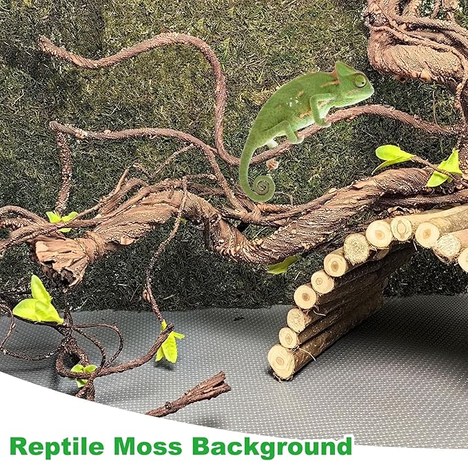kathson Reptile Carpet, Natural Moss Mat for Terrarium, Bearded Dragon Tank Flooring Green Substrate Liner for Leopard Gecko Hermit Crab Lizard Tortoise (47.24" X 11.81")