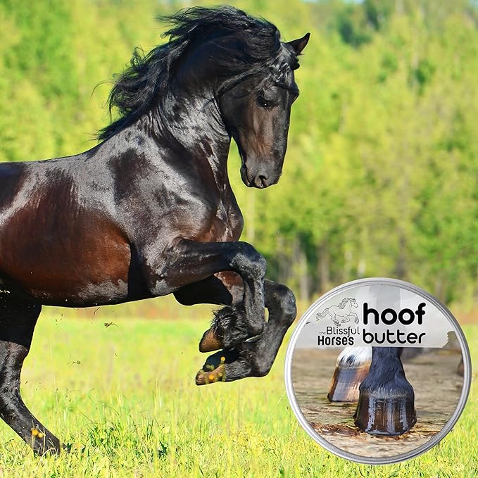 The Blissful Horses Hoof Butter All Natural Support for Your Horse's Hooves, 4-Ounce