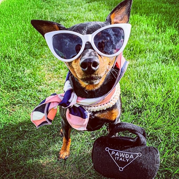 Haute Diggity Dog Pawda Handbag, Plush Designer Dog Toys with Interactive Squeaker, Stimulating Pet Enrichment, Machine-Washable & Safe Materials for All Breeds, Size Medium