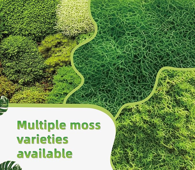 Moss Terrarium Beding Live Moss Terrarium Moss for Reptiles Peat Moss for Reptiles Habitat Bedding Moss for Snakes Turtle Frog Gecko and Other Reptiles Substrate Composite 3