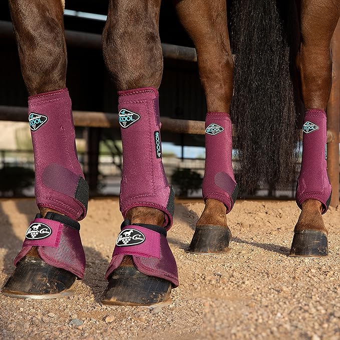 Professional's Choice 2XCOOL Sports Medicine Horse Boots | Protective & Breathable Design for Ultimate Comfort, Durability & Cooling in Active Horses | 2 Pack