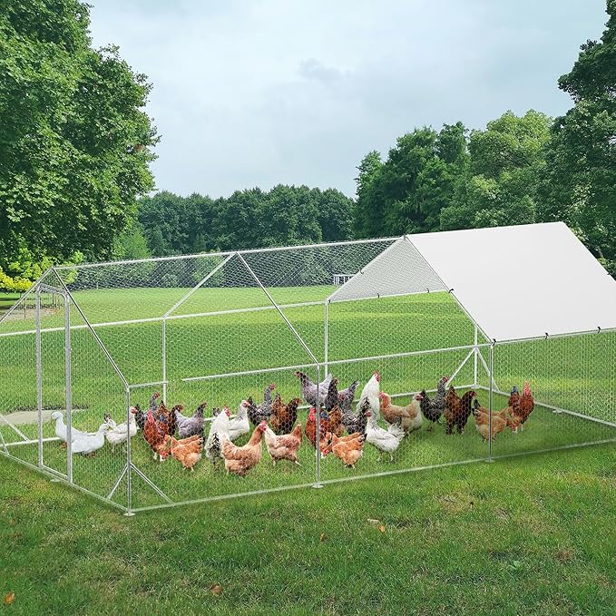 Large Metal Chicken Coop Run,Outdoor Walk-in Cage Peak Hen House with Waterproof and Anti-Uv Cover,Spire Roof Hen House with Security Lock for Outdoor,Backyard and Farm, 9.8 x 19.7 x 6.6 Ft