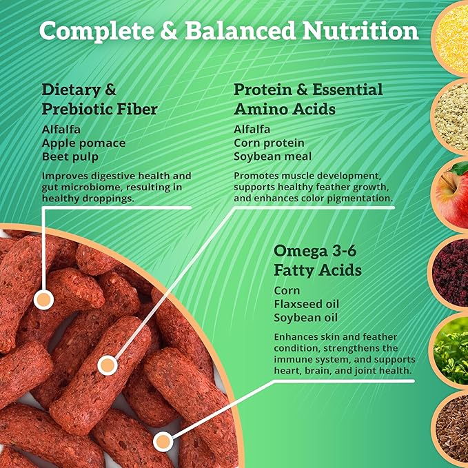 Scenic Apple Jungle Premium Parrot Food - Apple, Natural Flavors, High Protein, Low Iron Bird Pellets for Large Parrots, Macaw Food, Cockatoo & African Grey Parrots, Omega 3, Vitamins, Minerals, 1 LB