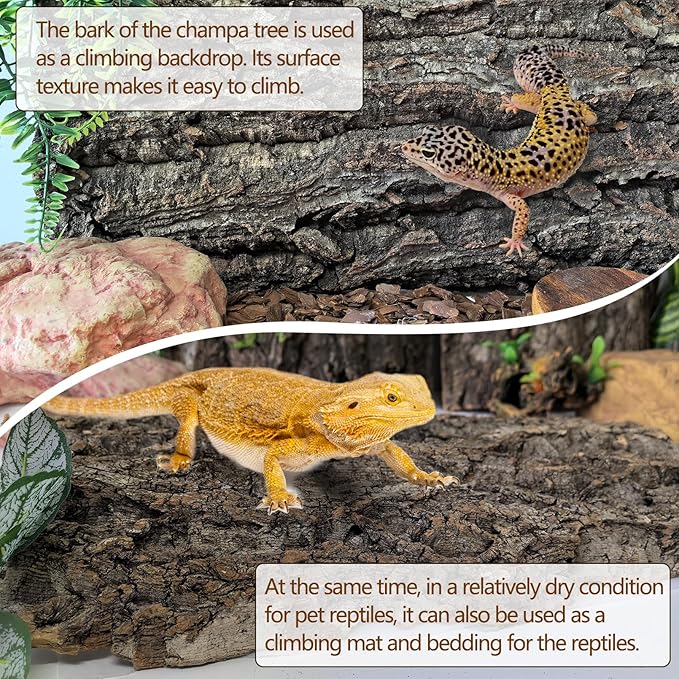 Hamiledyi Cork Terrarium Background 11.8x7.9in 4PCS Natural Reptile Cork Bark Flats Terrarium Board Bearded Dragon Climbing Wall Mat Tank Decor for Lizard Chamelon Snake Turtle Spider Crested Gecko