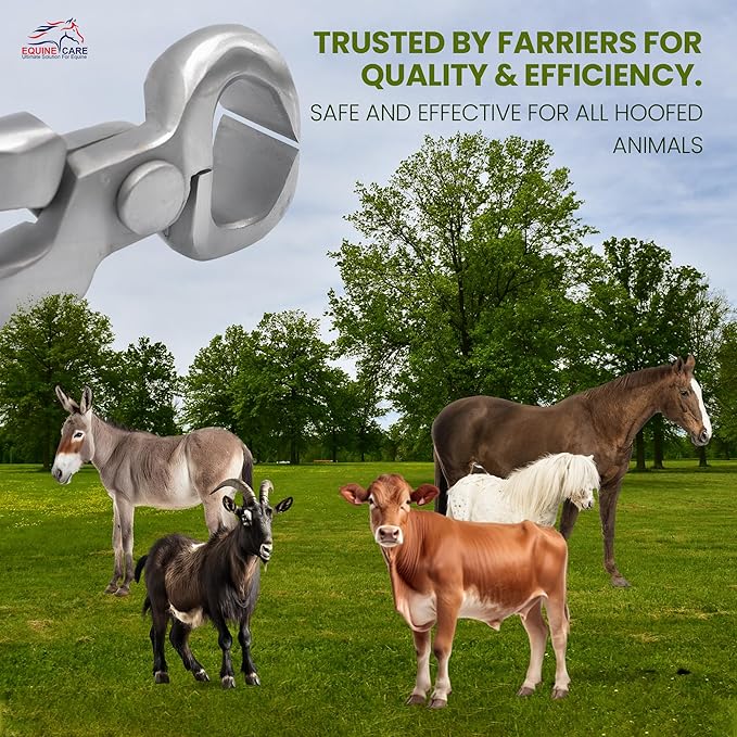 Equine Care Spring-Loaded Hoof Nippers – Chrome Vanadium Steel Farrier Tools | 10″ & 12″ Hoof Trimmers with Ergonomic Grip for Foals, Ponies, Miniature Horses, Donkeys, Goats & Livestock (10 inch)