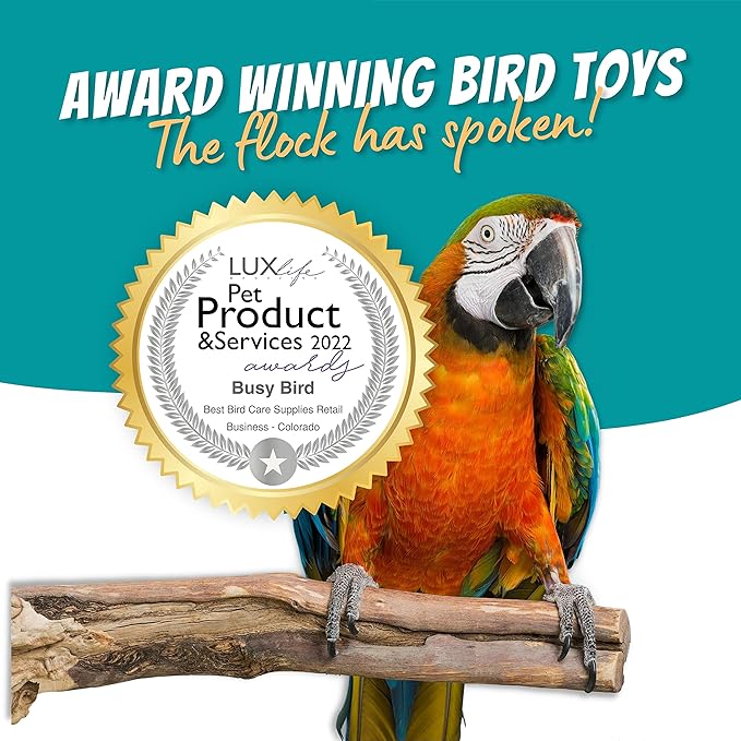 Stainless Steel Spinner Bird Toy with Traveling Spinner | Durable Puzzle Enrichment Toy | Spinner Toy for Medium to Large Birds Like Cockatoos, Parrots, Macaws, Parakeets | Bird Cage Accessories