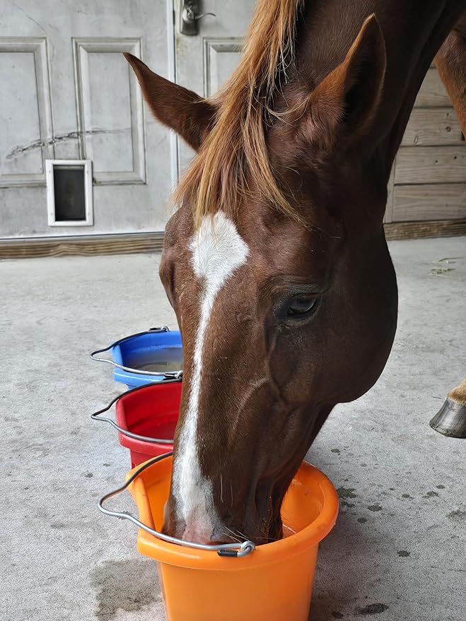 Low Calorie Hydration, Feed Topper & Treat | Safe, NO Electrolyte/Salt for Daily Intake | No Sugar Added | Hydration Support for Horses, Livestock & Dogs | 8 Servings | Caked Up Carrot