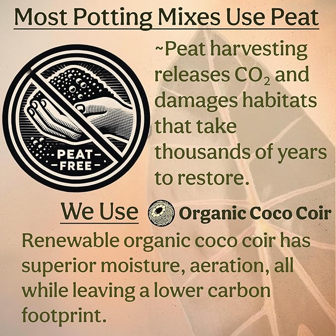 Craft Aroid Potting Mix- Elite Organic Alocasia, Philodendron, Monstera Soil Mix, Chunky, Well Draining Potting Soil for Indoor Plants, All Tropical Plants & Houseplants, Perlite & Peat Free 2QT