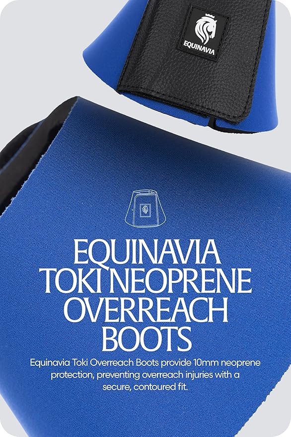 Equinavia Toki Bell Boots for Horses | Neoprene Overreach Boots - Royal Blue - M