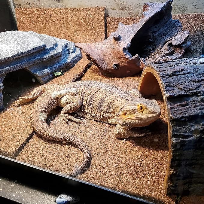 PINVNBY Reptile Carpet, 2 Sheets Lizard Terrarium Mat,Natural Coconut Fiber Substrate Bedding Habitat Liner Pads for Bearded Dragon Snake Bedding Gecko Tortoises Tortoise Chameleons