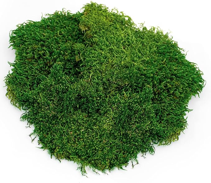 Galápagos (05248) Sheets of Real Moss, 8-Quart, Natural,Green