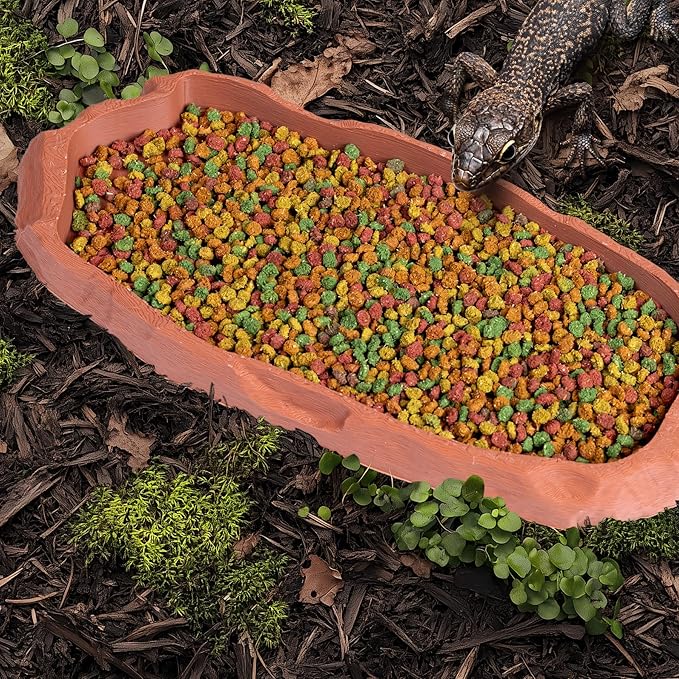 Gecko Cave Reptile Feeding Tray – Naturalistic Pet Dish for Lizards, Snakes, Bearded Dragons, Tortoises & Turtles - Terracotta