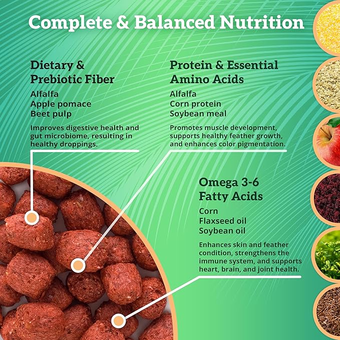 Scenic Apple Paradise Premium Parrot Food - Apple & Natural Flavors, High Protein, Low Iron Conure Bird Food, Eclectus & Other Small Pet Parrots, Omega 3, Vitamins & Minerals, 2 LB Bag