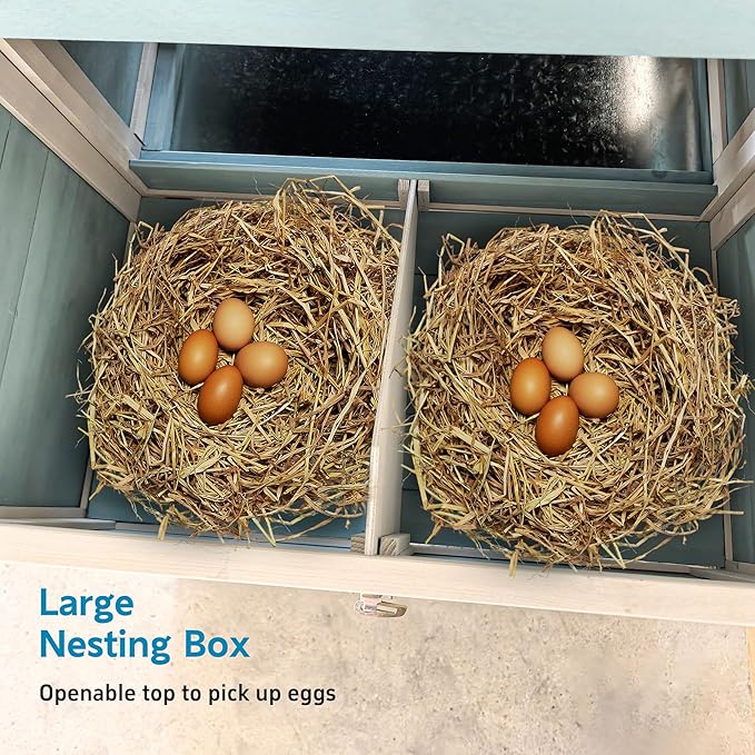 Wooden Chicken Coop with Nesting Box and Free-Range Door – Outdoor Hen House for 3–4 Chickens, All-Weather Asphalt Roof, Secure Locks & Easy-Clean Sliding Tray Blue