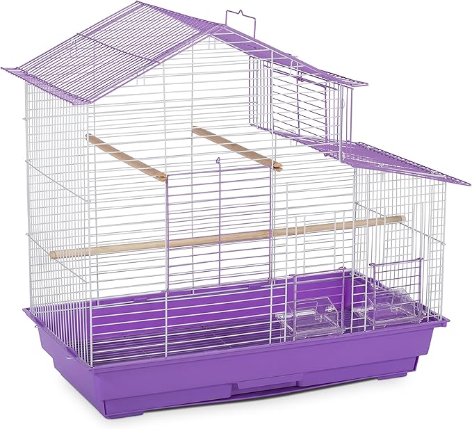 Prevue Pet Products SP41615-1 House Style Bird Cage, Small, Purple