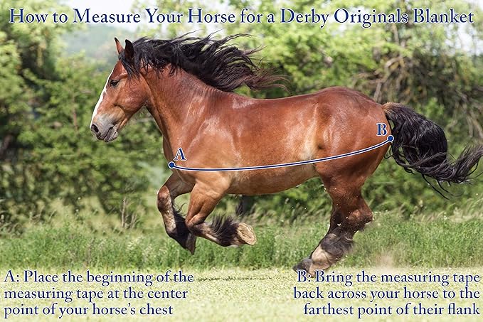Derby Originals Nordic-Tough 1200D Heavyweight Mini Horse & Pony Turnout Blanket – Waterproof, Breathable, 300g Insulation, 210T Lining, Reflective, 2-Year Warranty (Turquoise, 64")