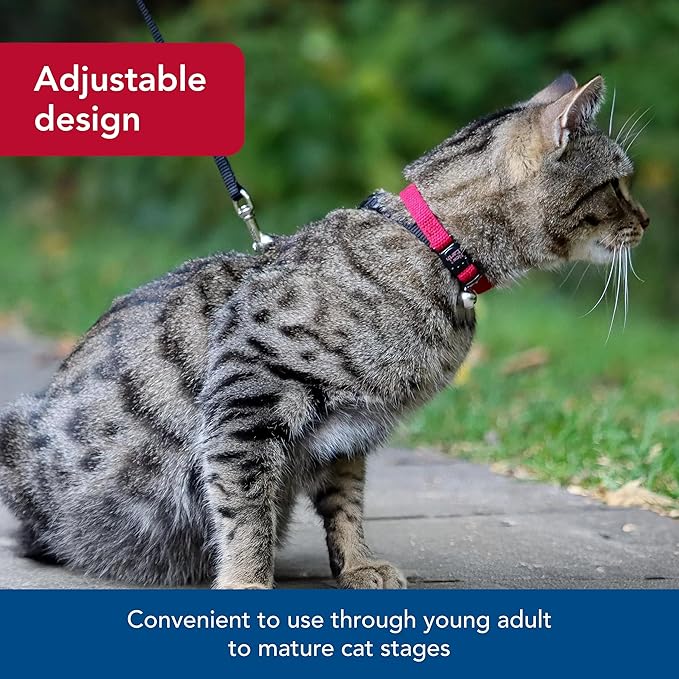Coastal Pet New Earth Soy Adjustable Breakaway Cat Collar - Eco-Friendly, Odor-Resistant and Adjustable Cat Collar, Rose, 3/8" x 08"-12"