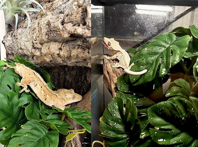 Woyrise Reptile Plants for Terrarium, Artificial Hanging Plants with Suction Cups, Amphibian Tank Habitat Decor Plastic Plant for Bearded Dragons Lizards Snake Geckos Frogs - 2Pack Fake Monstera
