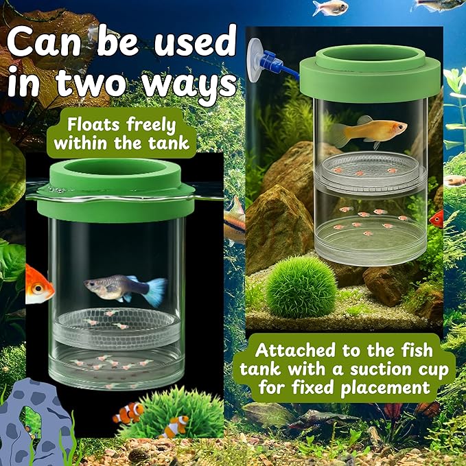 Betta Guppy Breeding Box for Fish Tank and Artificial Plants, Floating Guppy Breeding Box with Suction Cups, Acrylic Breeder Isolation Incubator for Aquarium Tank, Hatchery Breeder Chamber (Green, M)