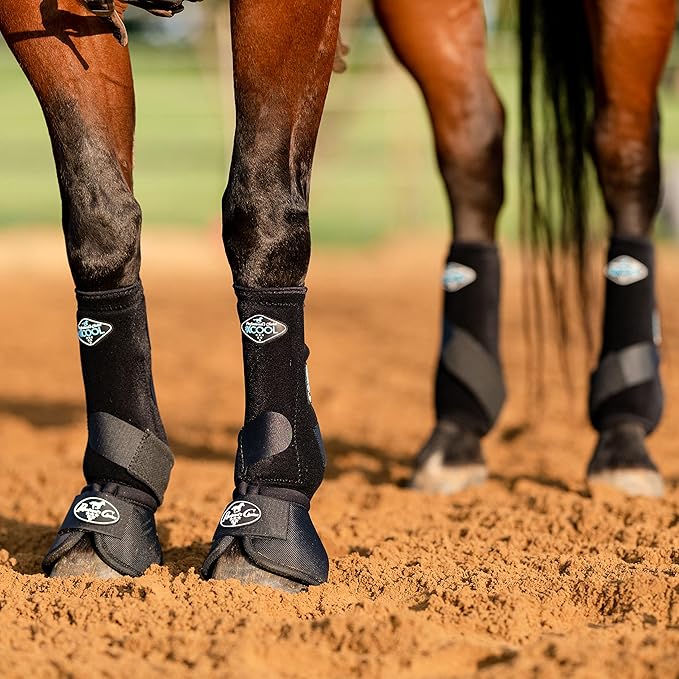 Professional's Choice 2XCOOL Sports Medicine Horse Boots | Protective & Breathable Design for Ultimate Comfort, Durability & Cooling in Active Horses | 2 Pack