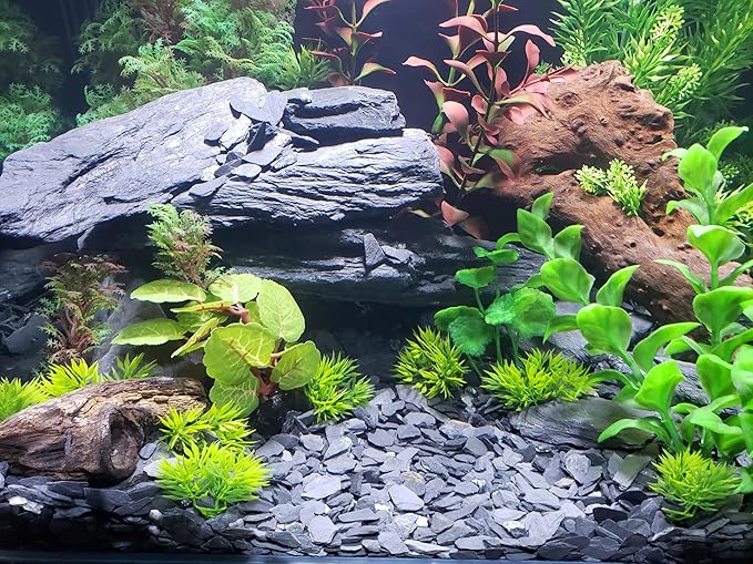 Small World Slate & Stone Aquarium Gravel 14 lbs - Natural Substrate for Aquascaping Planted, Freshwater and Saltwater Tanks - Grey - Gravel Size Approx. 1/4"-1/2" (14 lbs)