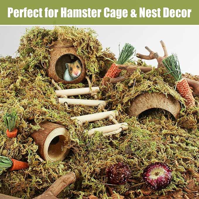 Riare 25QT Natural Hamster Moss Bedding Nesting-Soft Forest Moss Hamster Habitat Reptile Moss for Dwarf Syrian Hamsters, Mices, Gerbils, Reptiles, Small Pets (1.3LBS)
