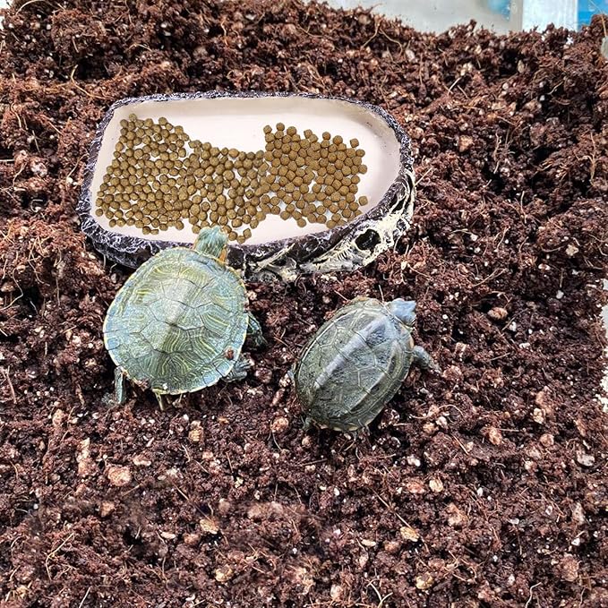 Tfwadmx 2 Pack Reptile Water Bowl, Reptile Feeding Dish, Bearded Dragon Water Dish, Turtle Feeding Bowl for Tortoises, Snakes, Lizards, Geckos, Chameleons
