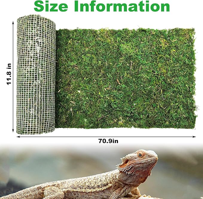 kathson Reptile Carpet, Natural Moss Mat for Terrarium, Bearded Dragon Tank Flooring Green Substrate Liner for Leopard Gecko Hermit Crab Lizard Tortoise (70.86" X 11.81")