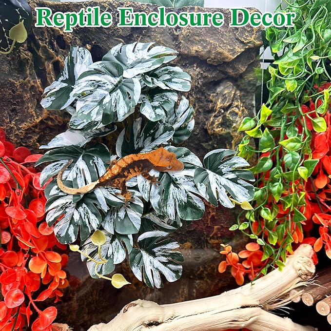 VCEPJH Reptile Plants with Suction Cup Amphibian Habitat Decor 2 Pcs Artificial Leaves for Terrarium Decor Crested Gecko Tank Accessories for Bearded Dragon, Lizard, Snake (White and Green Monstera)