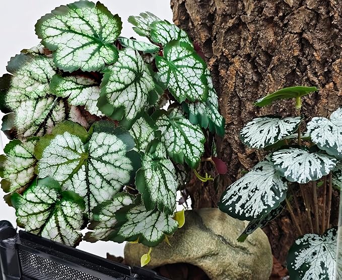 Woyrise Reptile Plants, Terrarium Hanging Plant Vines, Artificial Leaves with Suction Cup, Bearded Dragon Tank Accessories for Gecko Lizard Snake Frog Tortoise Decorations - Green Heuchera